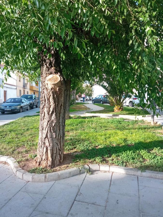 Apartamento San Miguel Баена Екстериор снимка